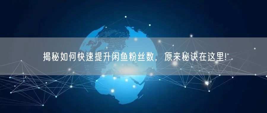揭秘如何快速提升闲鱼粉丝数，原来秘诀在这里!