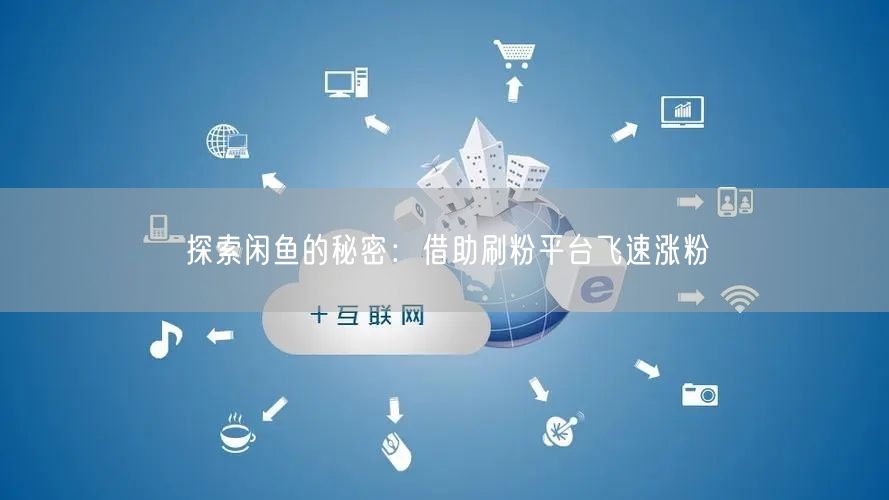 探索闲鱼的秘密：借助刷粉平台飞速涨粉