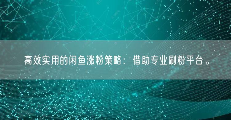 高效实用的闲鱼涨粉策略：借助专业刷粉平台
