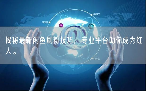 揭秘最新闲鱼刷粉技巧，专业平台助你成为红