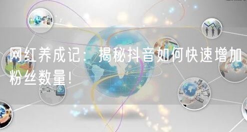 网红养成记：揭秘抖音如何快速增加粉丝数量！