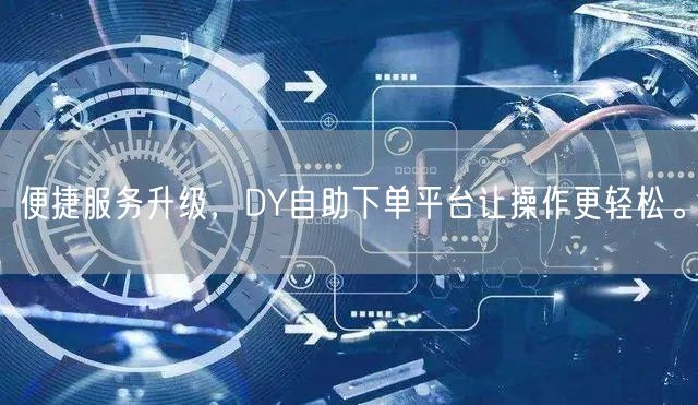 便捷服务升级，DY自助下单平台让操作更轻松。