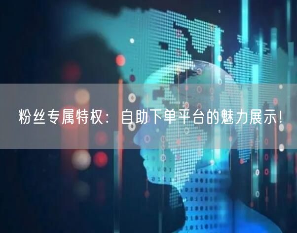 粉丝专属特权：自助下单平台的魅力展示！