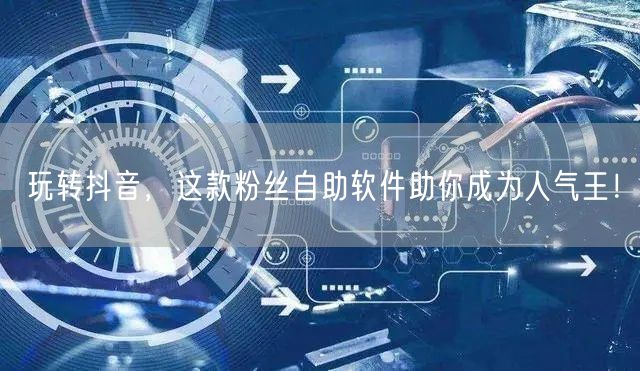 玩转抖音，这款粉丝自助软件助你成为人气王！