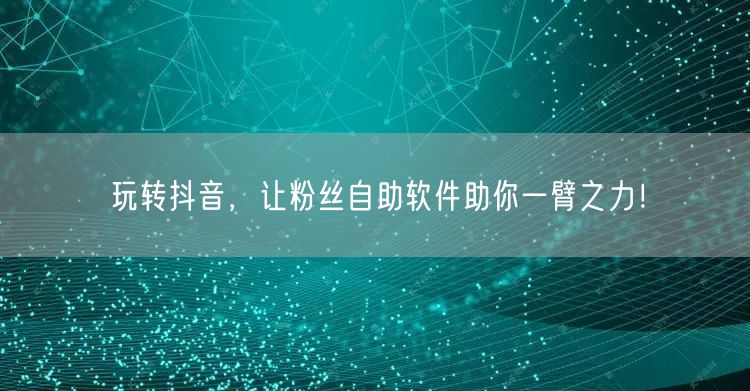 玩转抖音，让粉丝自助软件助你一臂之力！