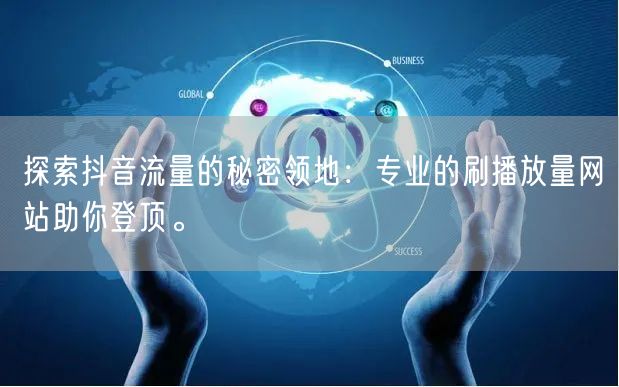 探索抖音流量的秘密领地：专业的刷播放量网