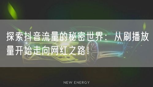 探索抖音流量的秘密世界：从刷播放量开始走