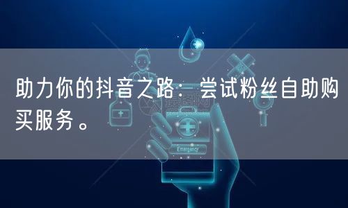 助力你的抖音之路：尝试粉丝自助购买服务。
