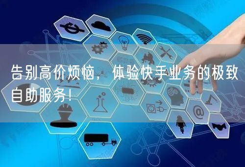 告别高价烦恼，体验快手业务的极致自助服务！