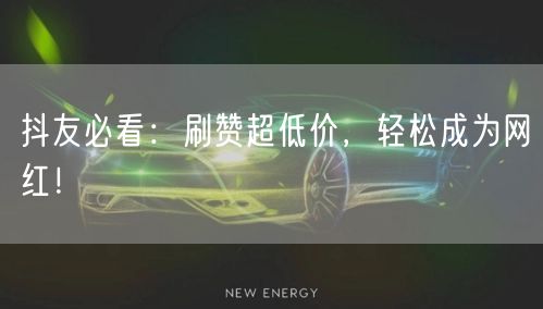 抖友必看：刷赞超低价，轻松成为网红！