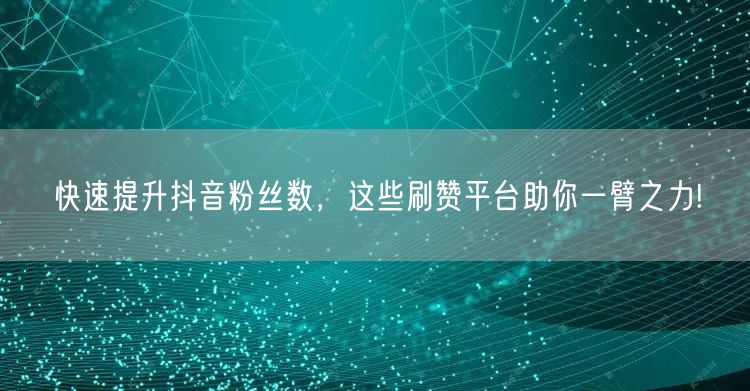 快速提升抖音粉丝数，这些刷赞平台助你一臂之力!