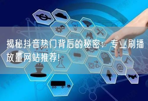 揭秘抖音热门背后的秘密：专业刷播放量网站推荐!