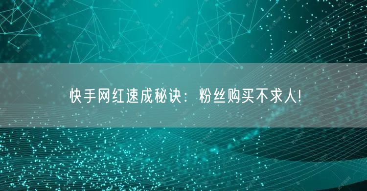 快手网红速成秘诀：粉丝购买不求人!