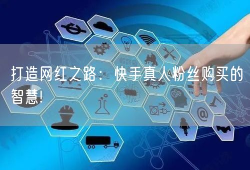 打造网红之路：快手真人粉丝购买的智慧!