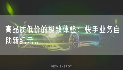 高品质低价的极致体验：快手业务自助新纪元