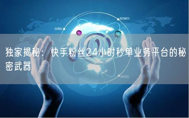 独家揭秘：快手粉丝24小时秒单业务平台的秘密武器