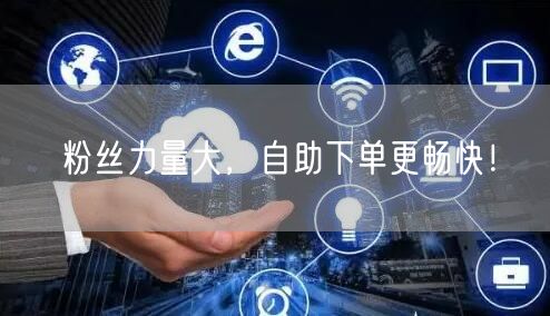 粉丝力量大，自助下单更畅快！