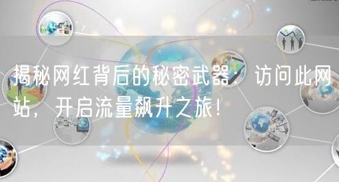 揭秘网红背后的秘密武器：访问此网站，开启