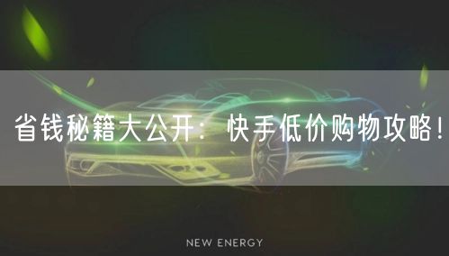 省钱秘籍大公开：快手低价购物攻略！