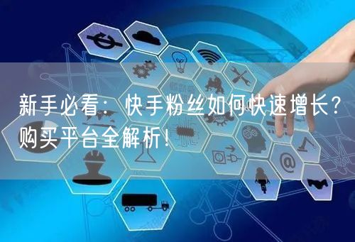 新手必看：快手粉丝如何快速增长？购买平台全解析！