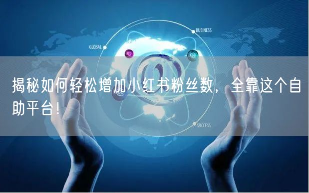 揭秘如何轻松增加小红书粉丝数，全靠这个自助平台！