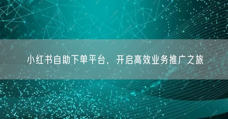 小红书自助下单平台，开启高效业务推广之旅