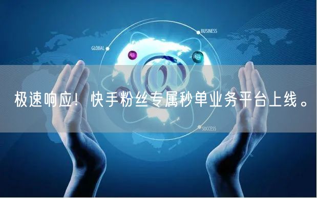极速响应！快手粉丝专属秒单业务平台上线。