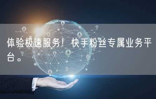 体验极速服务！快手粉丝专属业务平台。