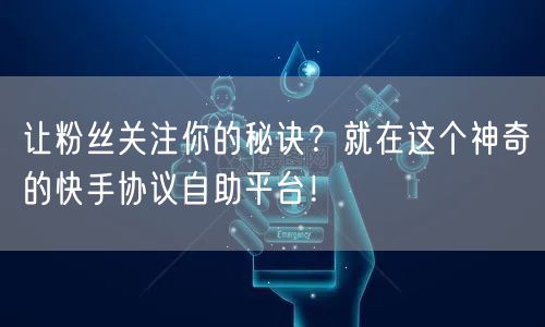 让粉丝关注你的秘诀？就在这个神奇的快手协议自助平台！