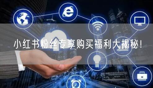 小红书粉丝专享购买福利大揭秘！