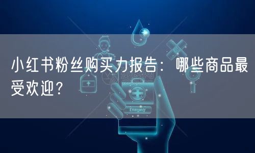 小红书粉丝购买力报告：哪些商品最受欢迎？