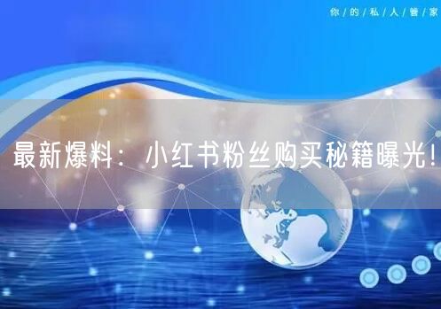 最新爆料：小红书粉丝购买秘籍曝光！