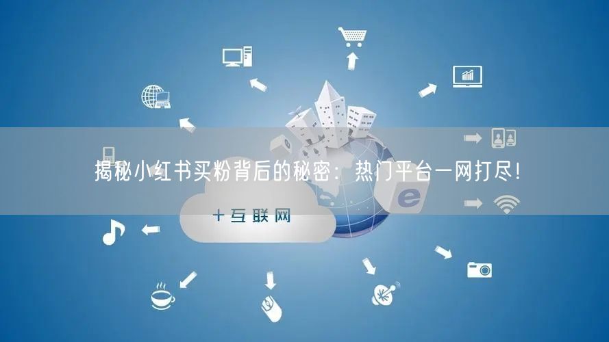 揭秘小红书买粉背后的秘密：热门平台一网打尽！