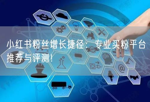 小红书粉丝增长捷径：专业买粉平台推荐与评测！