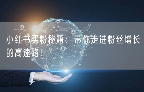 小红书买粉秘籍：带你走进粉丝增长的高速路！