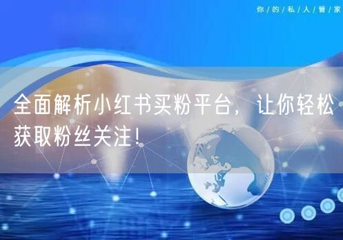 全面解析小红书买粉平台，让你轻松获取粉丝关注！