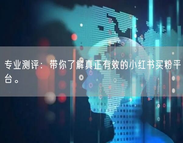 专业测评：带你了解真正有效的小红书买粉平