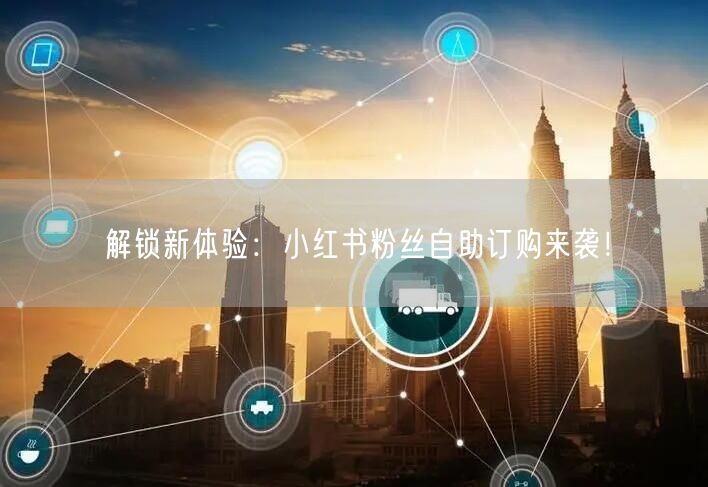 解锁新体验：小红书粉丝自助订购来袭！