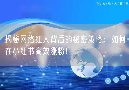 揭秘网络红人背后的秘密策略：如何在小红书高效涨粉！