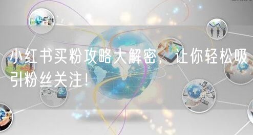 小红书买粉攻略大解密，让你轻松吸引粉丝关注！