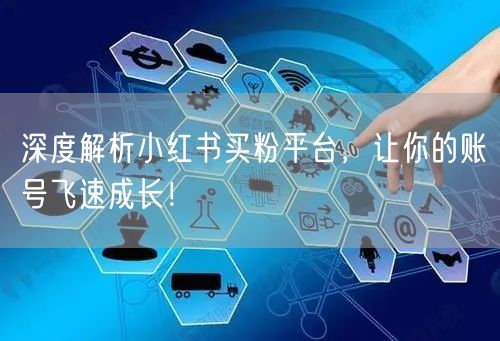 深度解析小红书买粉平台，让你的账号飞速成长！