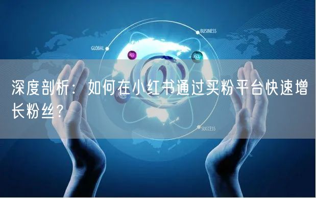 深度剖析：如何在小红书通过买粉平台快速增
