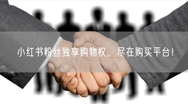 小红书粉丝独享购物权，尽在购买平台！