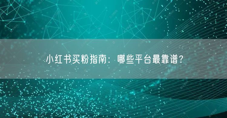小红书买粉指南：哪些平台最靠谱？