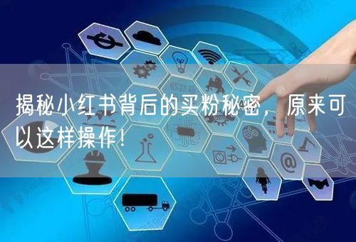 揭秘小红书背后的买粉秘密，原来可以这样操作！