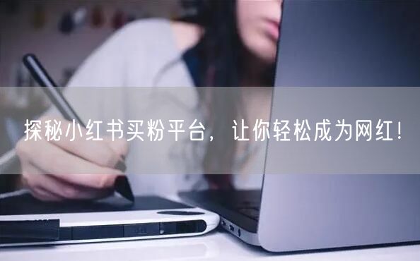 探秘小红书买粉平台，让你轻松成为网红！