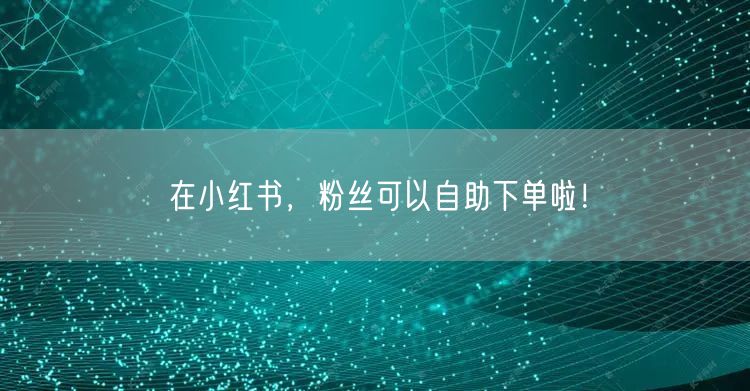 在小红书，粉丝可以自助下单啦！