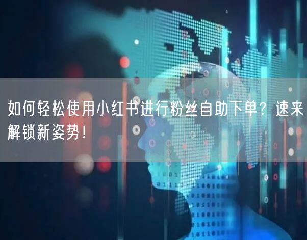 如何轻松使用小红书进行粉丝自助下单？速来