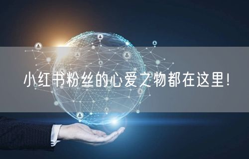 小红书粉丝的心爱之物都在这里！