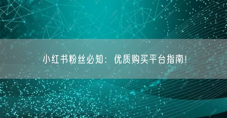 小红书粉丝必知：优质购买平台指南！